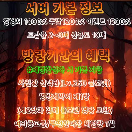 거상 방랑기 경험치 1000% 풀보텟 사천왕선택권 지급!!